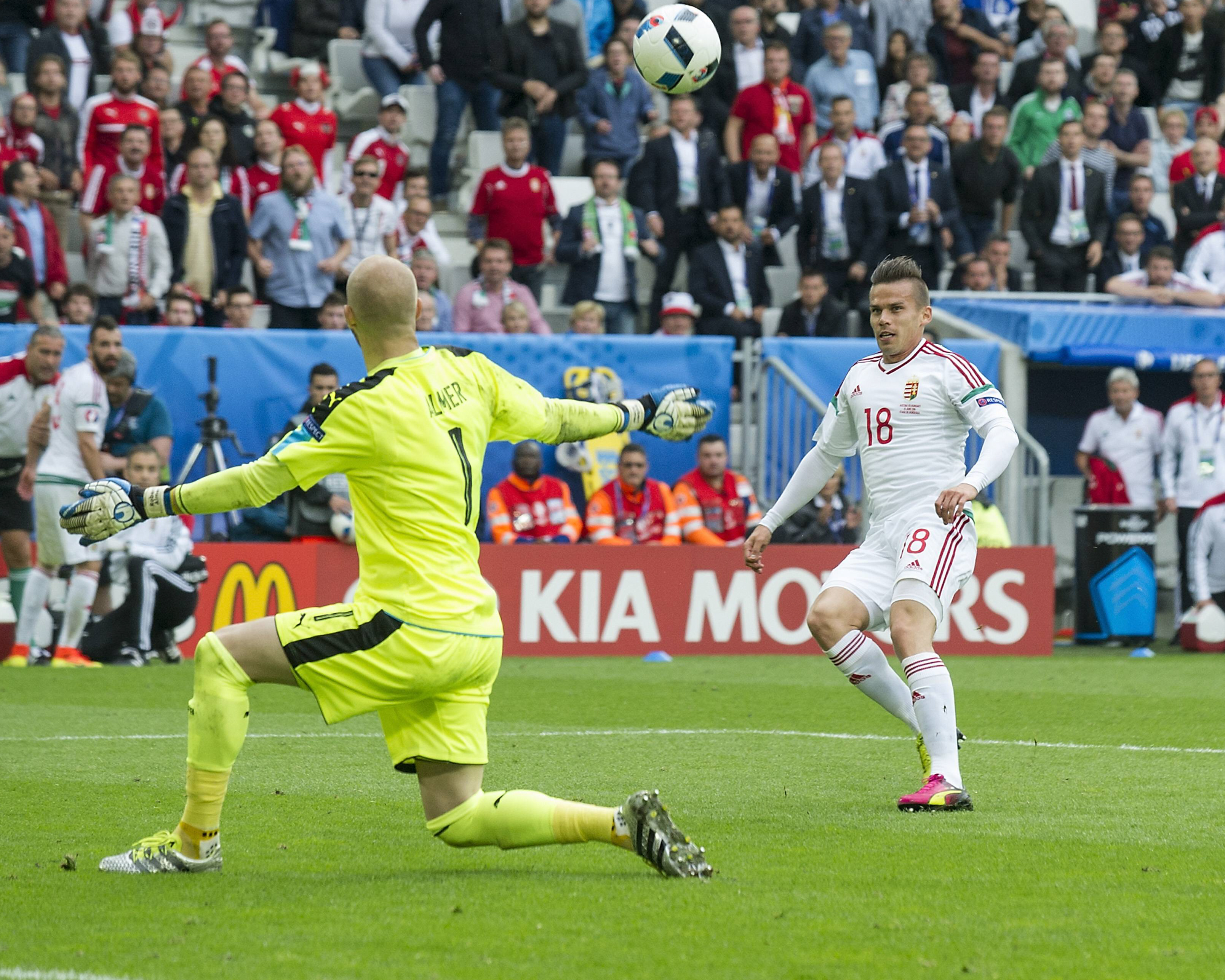 Zoltán Stieber celebrating on the pitch